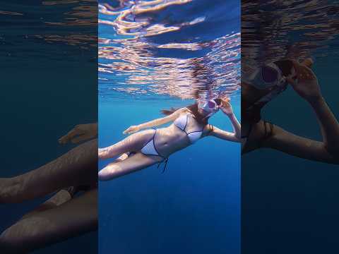 2024 보홀 프리다이빙 투어영상
